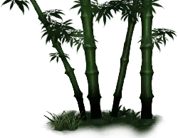 Bamboo - plant - Trending PNG