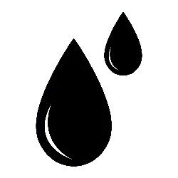Black Owl - owl - Curated PNG