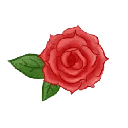 Red Rose - nature - Highly Rated PNG