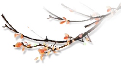 Autumn Leaves Branch - Curated PNG