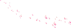 Pink Petals Falling - pink - Transparent Background PNG