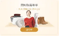 Limited Purchase Carnival - sale - PNG