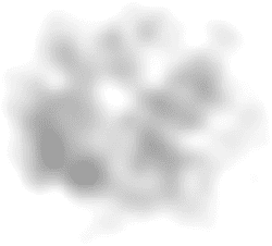 night - Recommended PNG - Black Owl