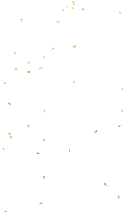 Gold Confetti - holiday - yellow - No Watermark PNG