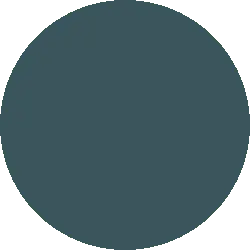Dark Grey Circle - shape - Lossless PNG