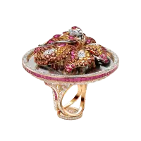 Ring - jewellery - High Resolution PNG