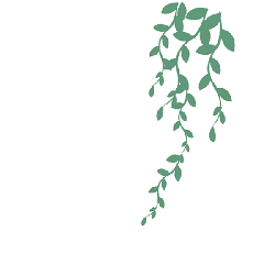 Green Vine - Recommended PNG