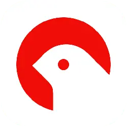 Red-Eyed Bird - minimalist - No Watermark PNG