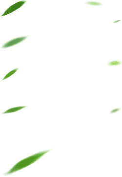 Green Light Spot - green - art - Transparent Background PNG