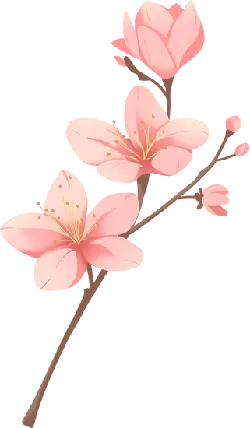 Cherry Blossom - bloom - Highly Rated PNG