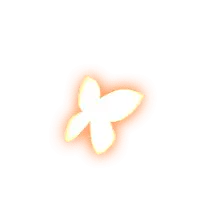 Butterfly - beautiful - No Watermark PNG