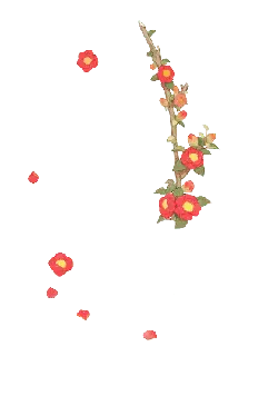 Plum Blossom - spring - Popular Download PNG