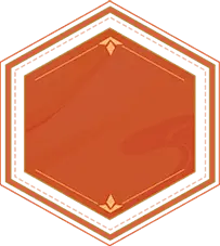 Hexagon Badge - orange - No Background PNG