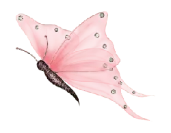 Butterfly - shining - butterfly - Transparent Layer PNG