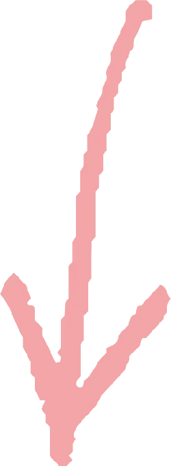Pink Arrow - indicate - symbol - Lossless PNG