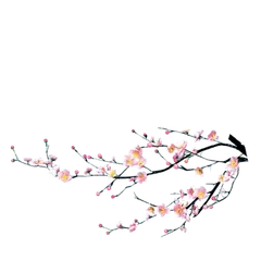 Plum Blossom - Free PNG