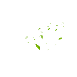 Falling Leaves - falling - High Quality PNG