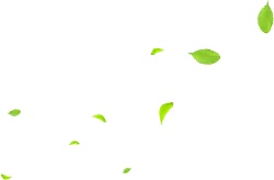 Leaves Falling - background - High Quality PNG