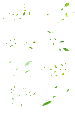 Falling Leaves - leaves - autumn - PNG