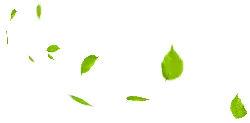 Falling Leaves - background - Trending PNG