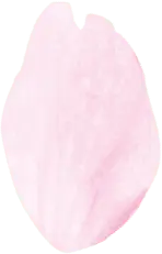 Petal - soft - flower - High Resolution PNG