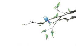 Blue Bird on a Branch - nature - Lossless PNG