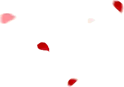 Petals - pink - red - Lossless PNG