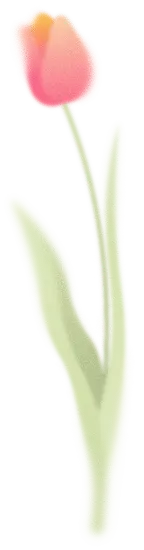 Tulip - stem and leaves - No Watermark PNG