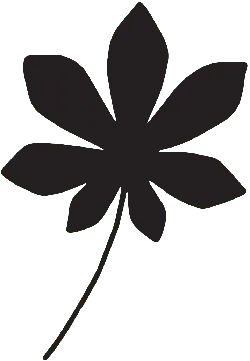 Seven Petal Leaf - petal - PNG Images