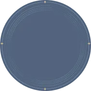 Concentric Circles Pattern - minimalistic - lines - Transparent Background PNG