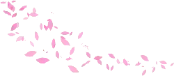 Pink Petals Falling - High Quality PNG - background