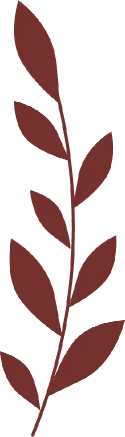 Brown Leafy Branch - simple - Free Download PNG
