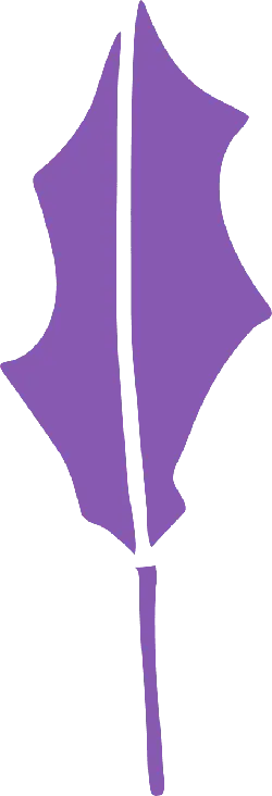 Purple Jacaranda Leaf - plant - PNG Images