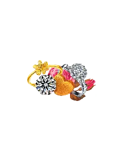 Rings - gift - Free Download PNG