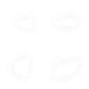 Four Leaf Clover - lucky - green - Transparent Background PNG