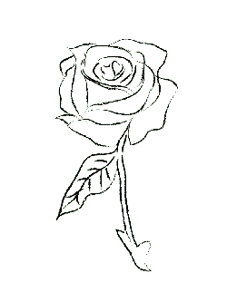Rose - black and white - rose - Free Download PNG