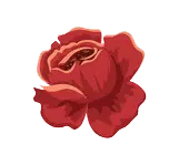 Rose - PNG - Designer's Pick PNG