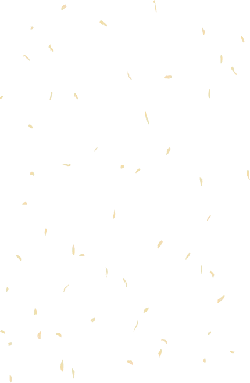 Gold Feathers - lightweight - No Watermark PNG
