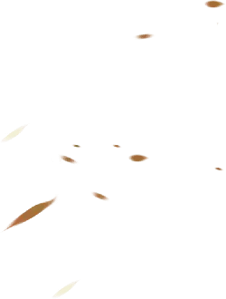Stars in the Night Sky - universe - No Background PNG