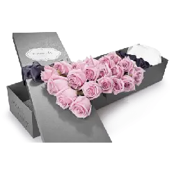 Pink Rose Box - flowers - No Background PNG