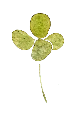 Four Leaf Clover - nature - Designer Recommended PNG