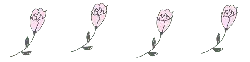 Pink Flower - line drawing - plant - High Resolution PNG