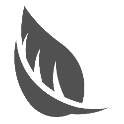 Gray Leaf - nature - Free Download PNG
