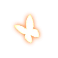 Butterfly - nature - symmetrical - Transparent Layer PNG