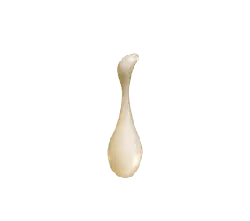 Abstract Vase - minimalist style - High Resolution PNG