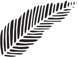 Feather - birds - flying - Free PNG