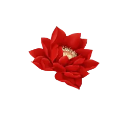 Red Lotus Flower - petal - Lossless PNG