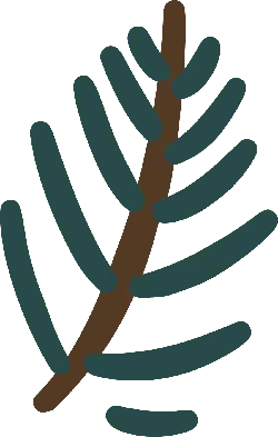 Pine Branch - nature - brown - Free Download PNG