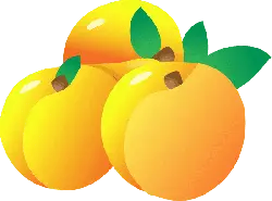 Peach - High Quality PNG - Fast Download PNG