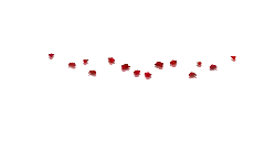Red Flowers - red - flowers - High Resolution PNG